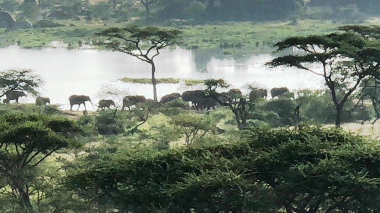 Seronera Wildlife Lodge Serengeti Kültér fotó
